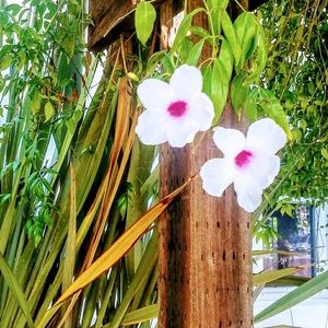 Meet your Posher, Chloe